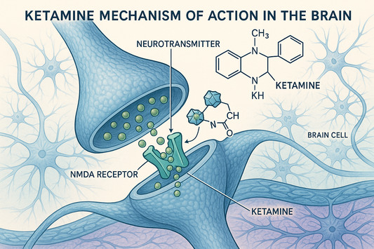 how ketamine works with neurotransmitters in the brain