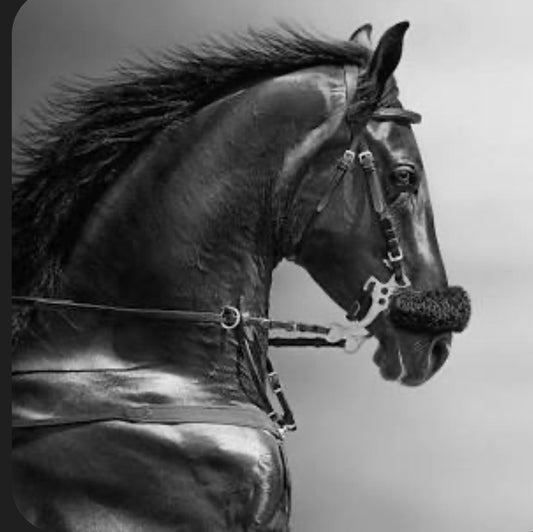 ketamine is not just for horses or animals