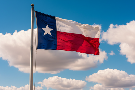 Texas Leads the Nation in Psychedelic Research: What Ibogaine Trials Mean for the Future of Ketamine Therapy