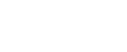 Bliss Mist Rx